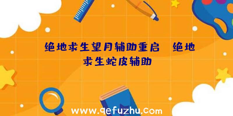 「绝地求生望月辅助重启」|绝地求生蛇皮辅助